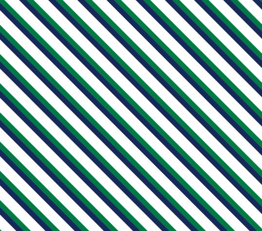 Golf Cart Seat Cover Stripe Navy Green